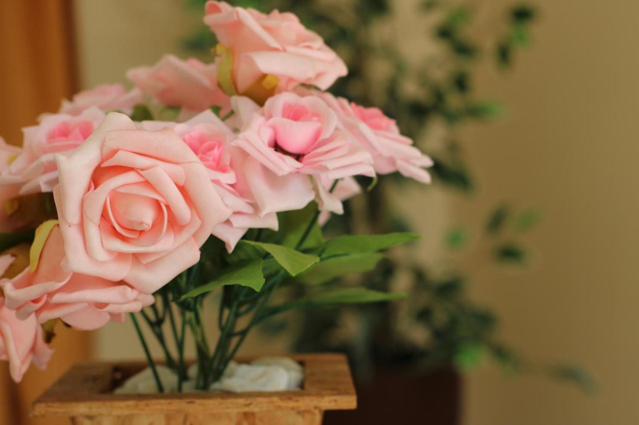 아파레시다 Casa Rainha Da Paz 빌라 외부 사진